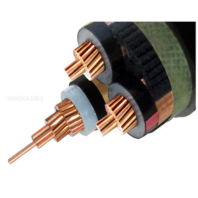                    All-Weather XLPE Insulated Power Cable for Outdoor Deployments             