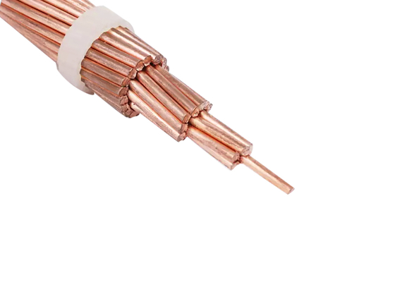 Powering the Future: Shenghua’s AAAC Bare Conductors Revolutionize Grid Reliability​​