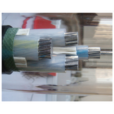                    Comprehensive XLPE Insulated Power Cable for Large Scale Utilities             