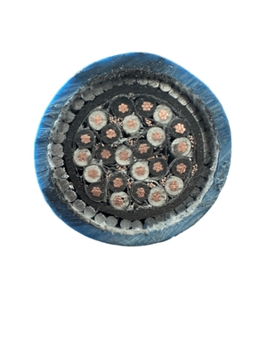                    Low Voltage High Performance Pair and Triple Cores XLPE Insulated Power Cable for Extreme Conditions Armored Instrumentation Cable Ia Cable             