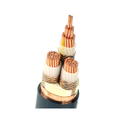                    Low Voltage High Performance Pair and Triple Cores XLPE Insulated Power Cable for Extreme Conditions Armored Instrumentation Cable Ia Cable             
