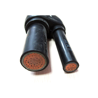                    Innovative Prefabricated Branch Cable for Modern Electrical Needs             
